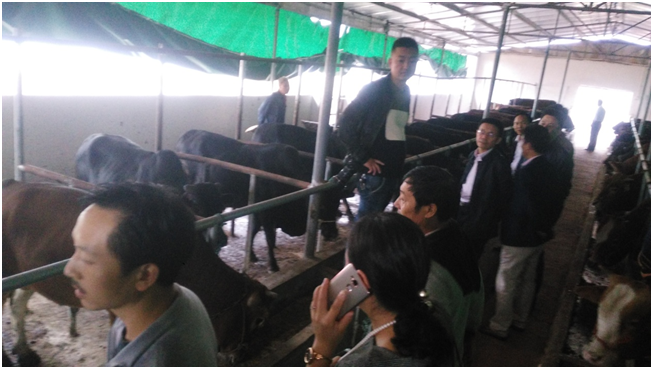 ����(�й���)�����ٷ���վ-LEYU SPORTS