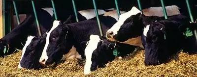 ����(�й���)�����ٷ���վ-LEYU SPORTS