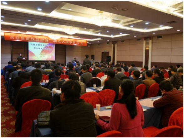 ����(�й���)�����ٷ���վ-LEYU SPORTS