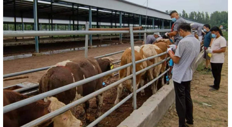 ����(�й���)�����ٷ���վ-LEYU SPORTS