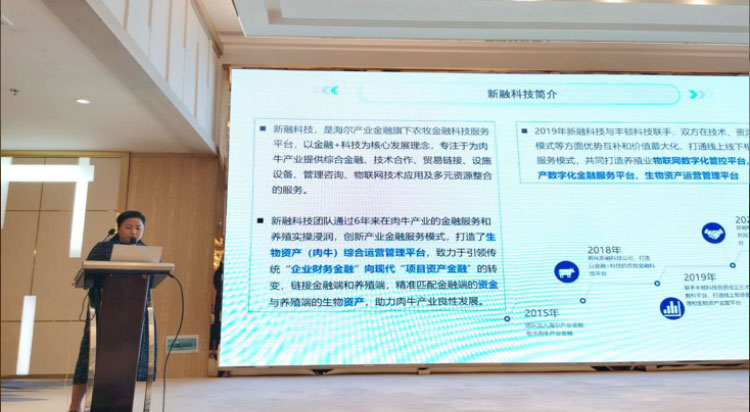 ����(�й���)�����ٷ���վ-LEYU SPORTS