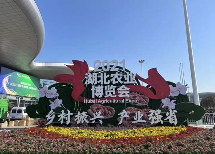 ����(�й���)�����ٷ���վ-LEYU SPORTS