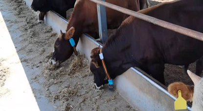 ����(�й���)�����ٷ���վ-LEYU SPORTS