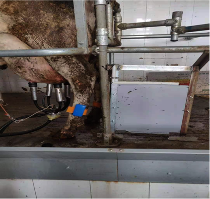 ����(�й���)�����ٷ���վ-LEYU SPORTS