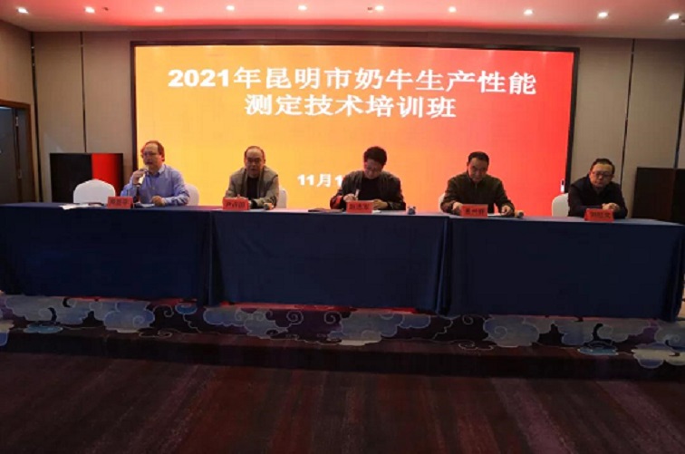 ����(�й���)�����ٷ���վ-LEYU SPORTS