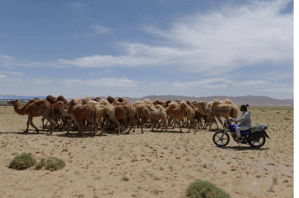 ����(�й���)�����ٷ���վ-LEYU SPORTS