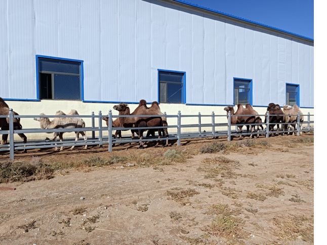 ����(�й���)�����ٷ���վ-LEYU SPORTS