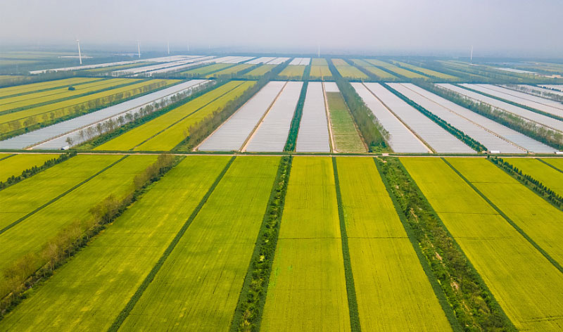 ����(�й���)�����ٷ���վ-LEYU SPORTS