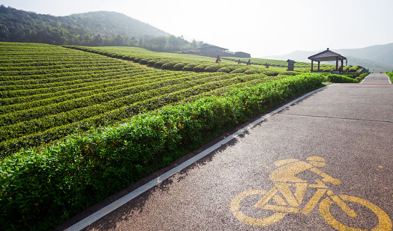 ����(�й���)�����ٷ���վ-LEYU SPORTS