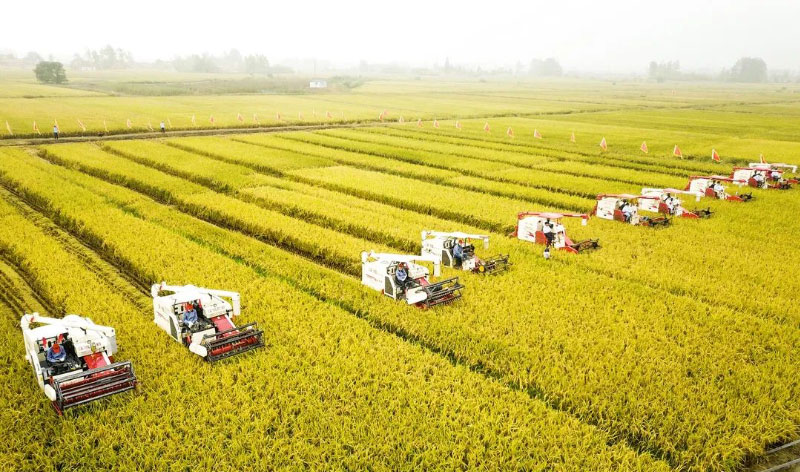 ����(�й���)�����ٷ���վ-LEYU SPORTS