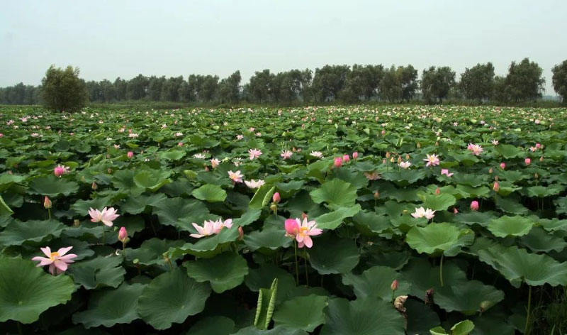 ����(�й���)�����ٷ���վ-LEYU SPORTS