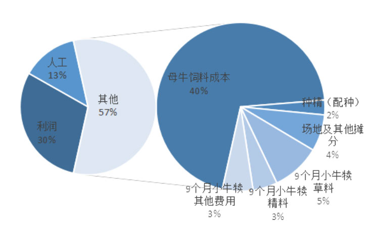 ����(�й���)�����ٷ���վ-LEYU SPORTS