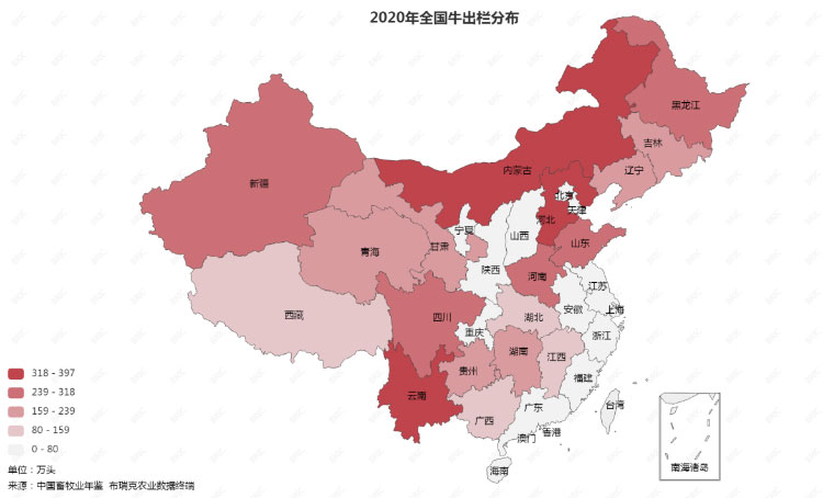 ����(�й���)�����ٷ���վ-LEYU SPORTS