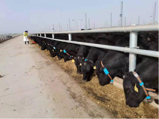 ����(�й���)�����ٷ���վ-LEYU SPORTS