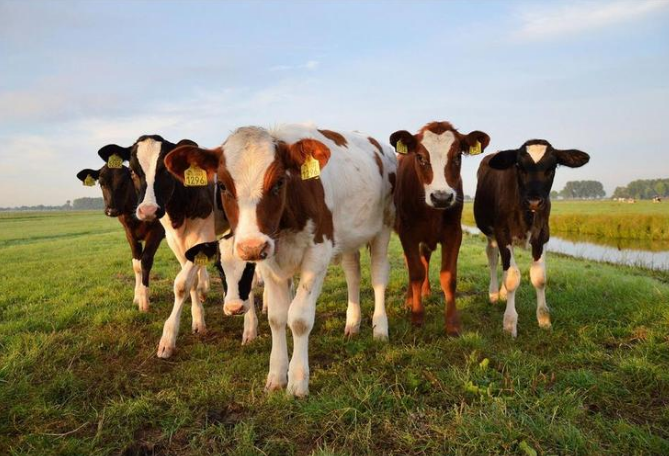 ����(�й���)�����ٷ���վ-LEYU SPORTS