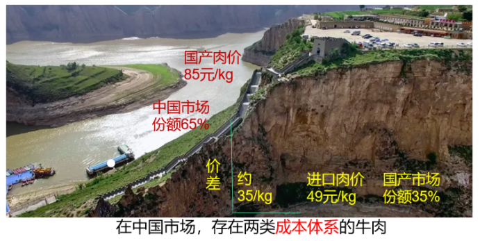 ����(�й���)�����ٷ���վ-LEYU SPORTS