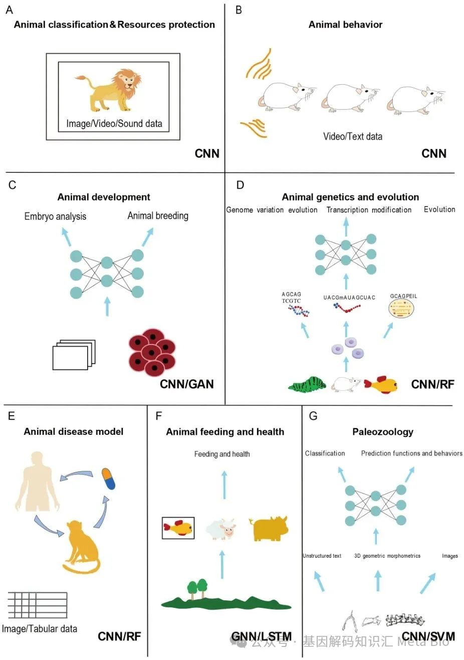 ����(�й���)�����ٷ���վ-LEYU SPORTS