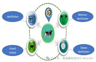 ����(�й���)�����ٷ���վ-LEYU SPORTS