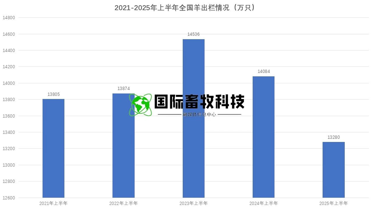 ����(�й���)�����ٷ���վ-LEYU SPORTS