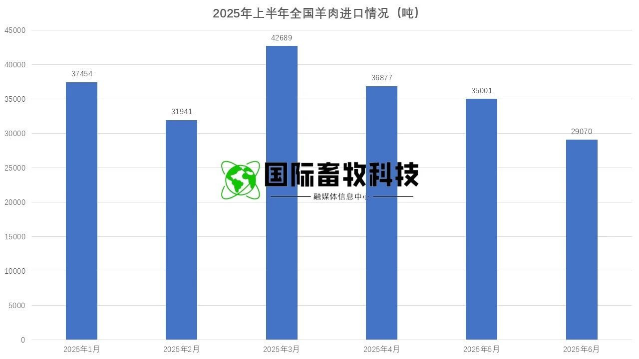 ����(�й���)�����ٷ���վ-LEYU SPORTS