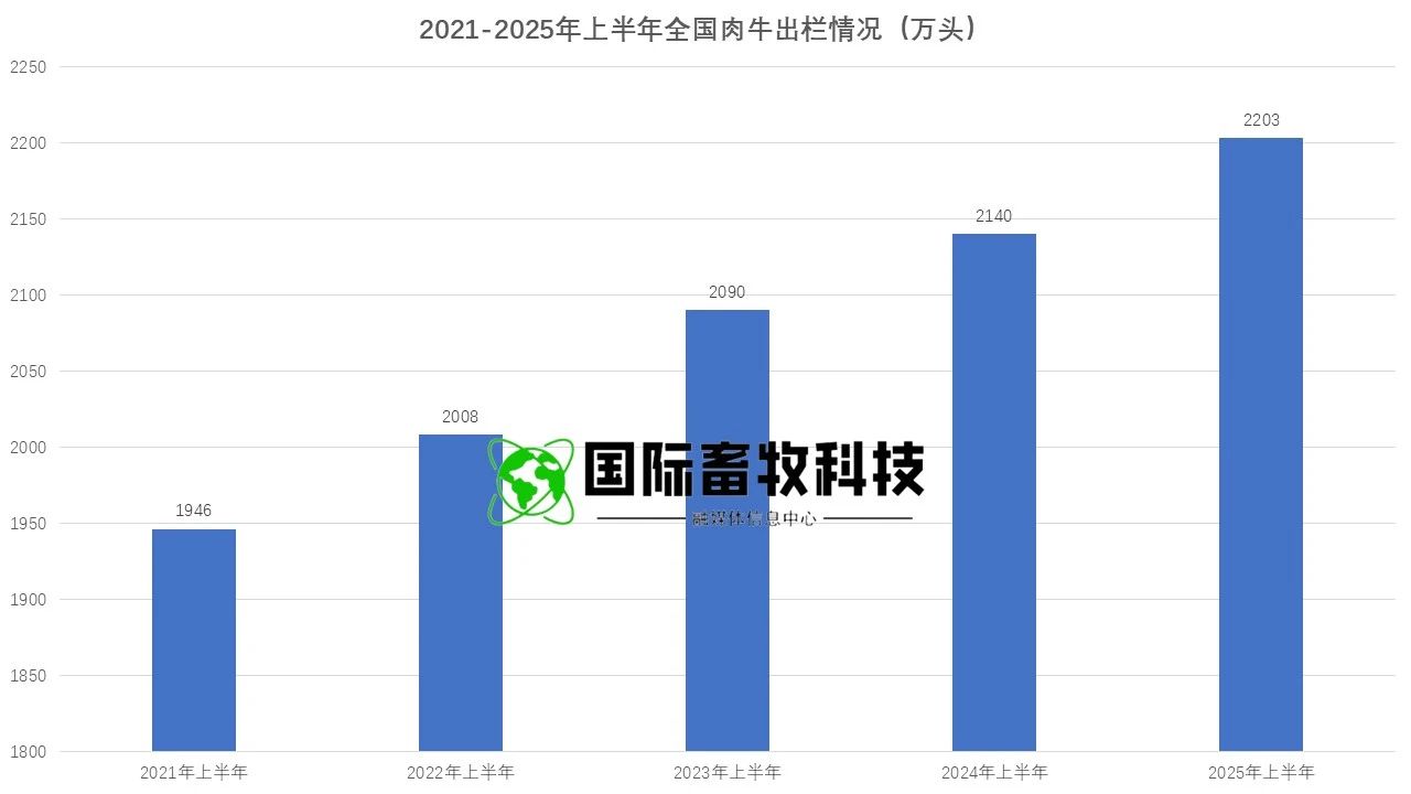 ����(�й���)�����ٷ���վ-LEYU SPORTS